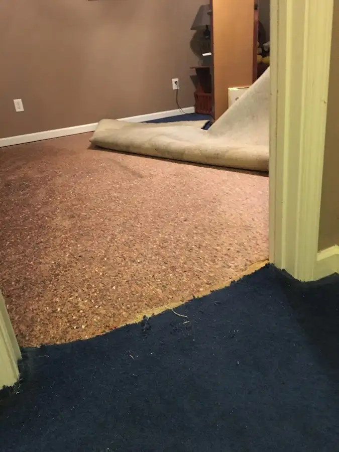 Carpet pad removal revealing water damage during Drying & Dehumidification in Fairfax Station
