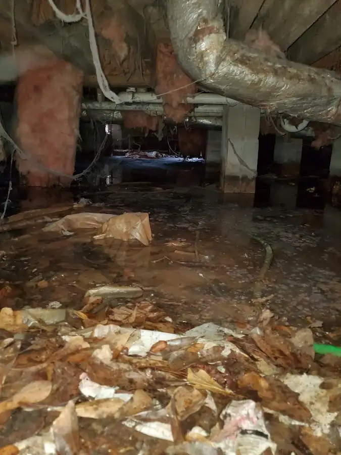Crawl space flood assessment for Leak Detection & Repair in Fairfax Station