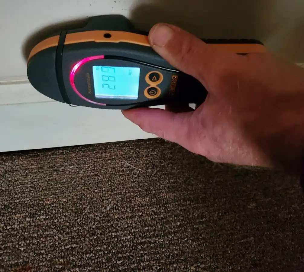 Moisture detection at baseboard during Sewage Cleanup & Sanitation in Fairfax Station